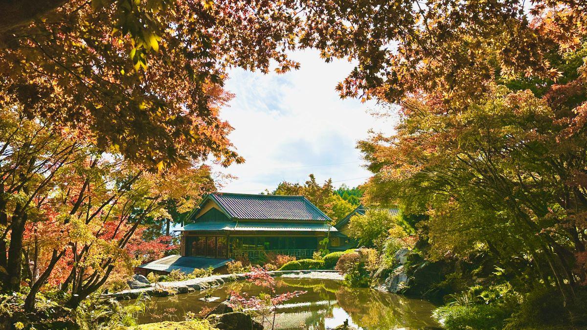 佐賀紅葉景點| 秋季來到佐賀唐津市作禮山內的環境藝術之森,在這個花了數十年光陰細心打造出來的日式庭園中,欣賞紛紛轉變成深紅、黃綠色的紅葉世界。(圖片來源:日本見)