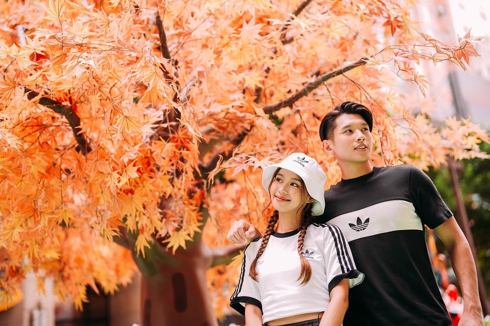 大家快來賞楓吧!