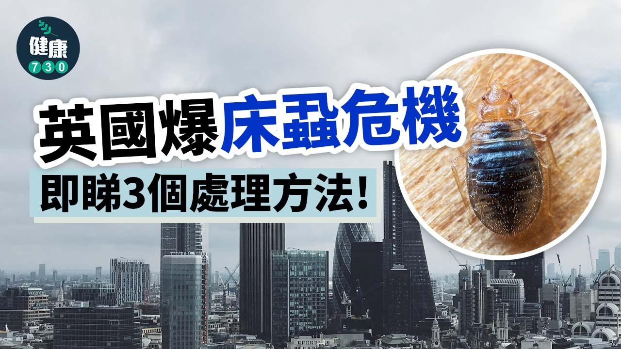 床蝨危機近日蔓延至英國。