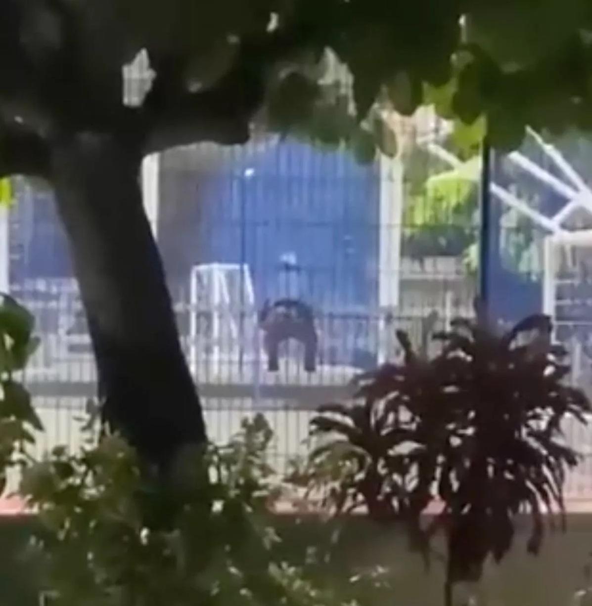 網民隔著鐵絲網拍攝男女活春宮影片。(互聯網)