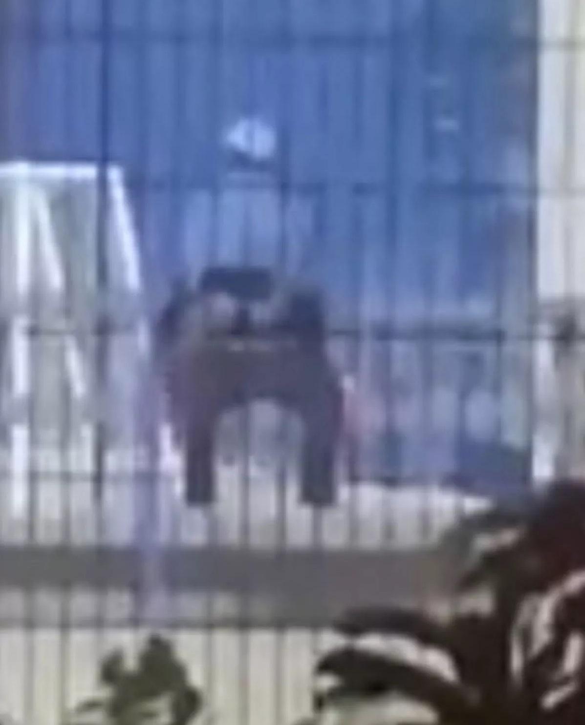 女子忘形露股。(互聯網)