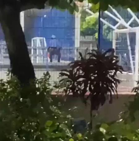 男女光天化日下躲公園做愛。(互聯網)