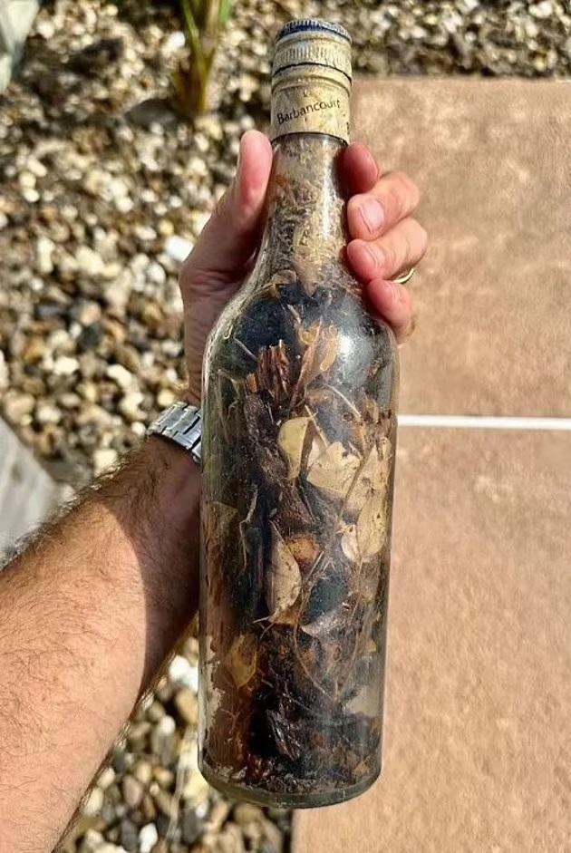 在岸邊撿到的巫術瓶。(互聯網)