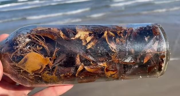 在岸邊撿到的巫術瓶。(互聯網)