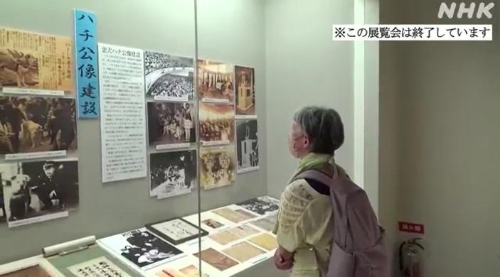 忠犬八公展覽。(互聯網)