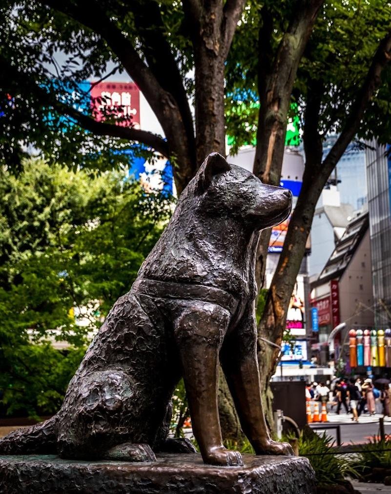 東京澀谷的第二代忠犬八公像。(互聯網)