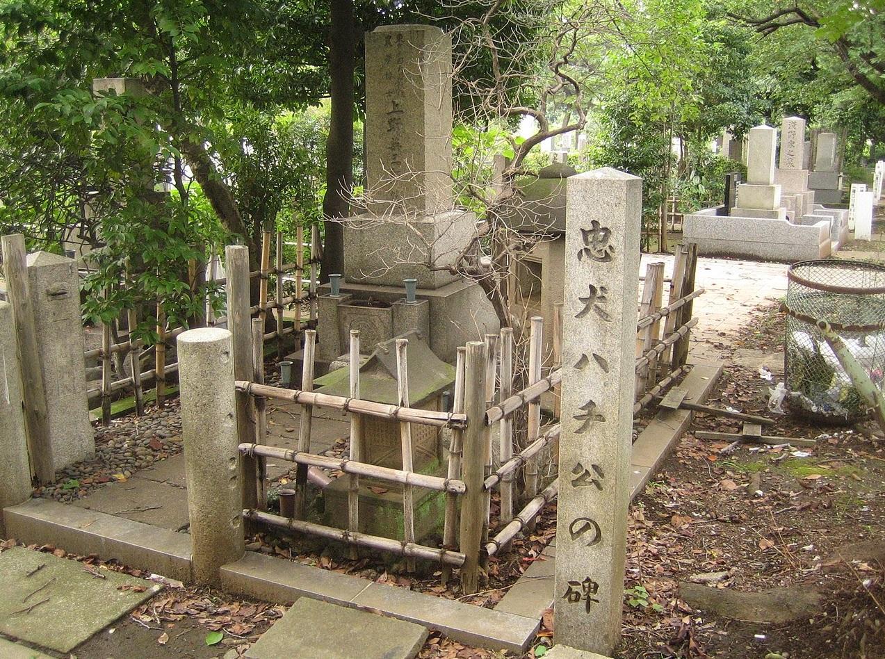 忠犬八公墓在主人墓旁。(互聯網)