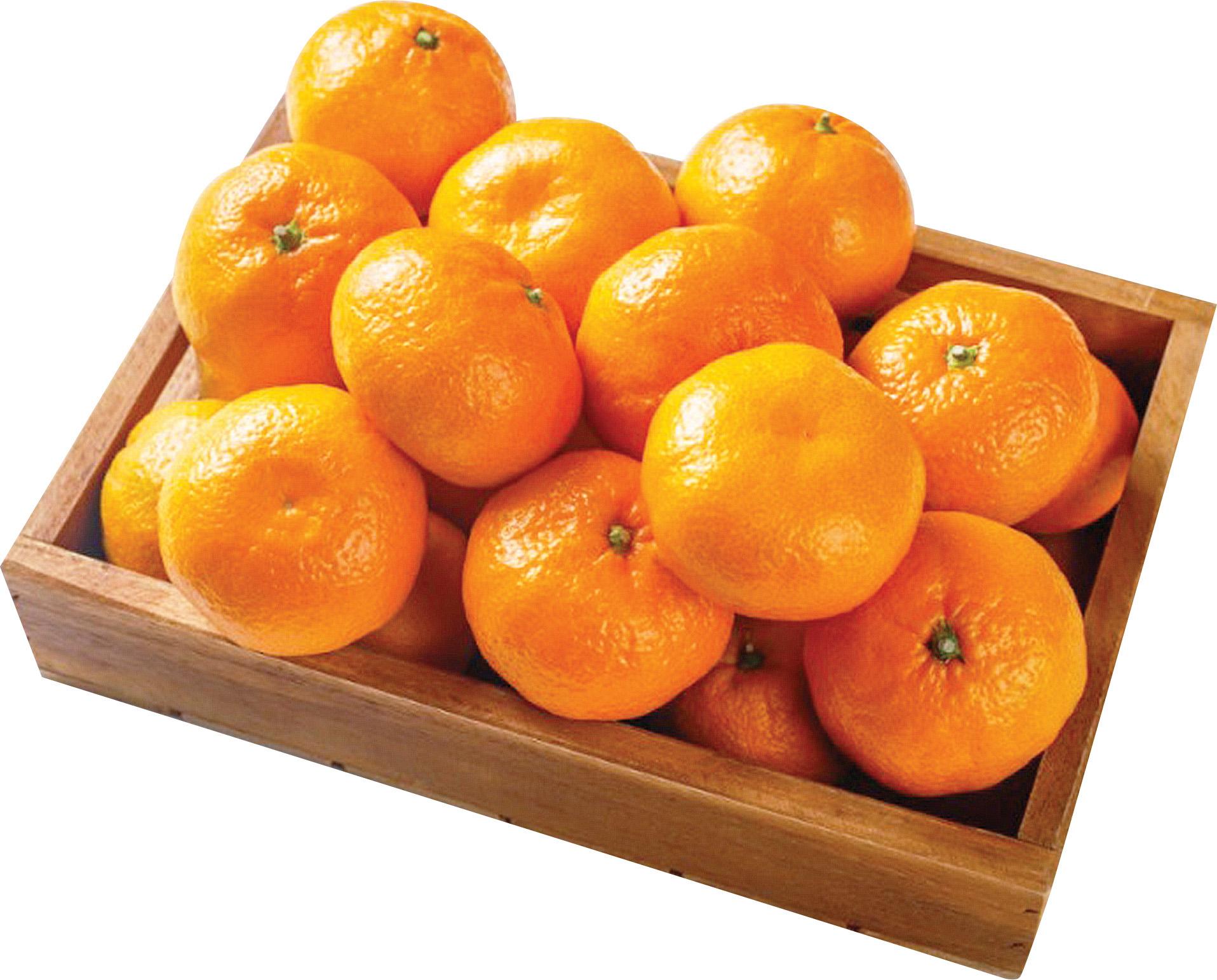 11月24日:日本熊本 蜜柑 $39/袋