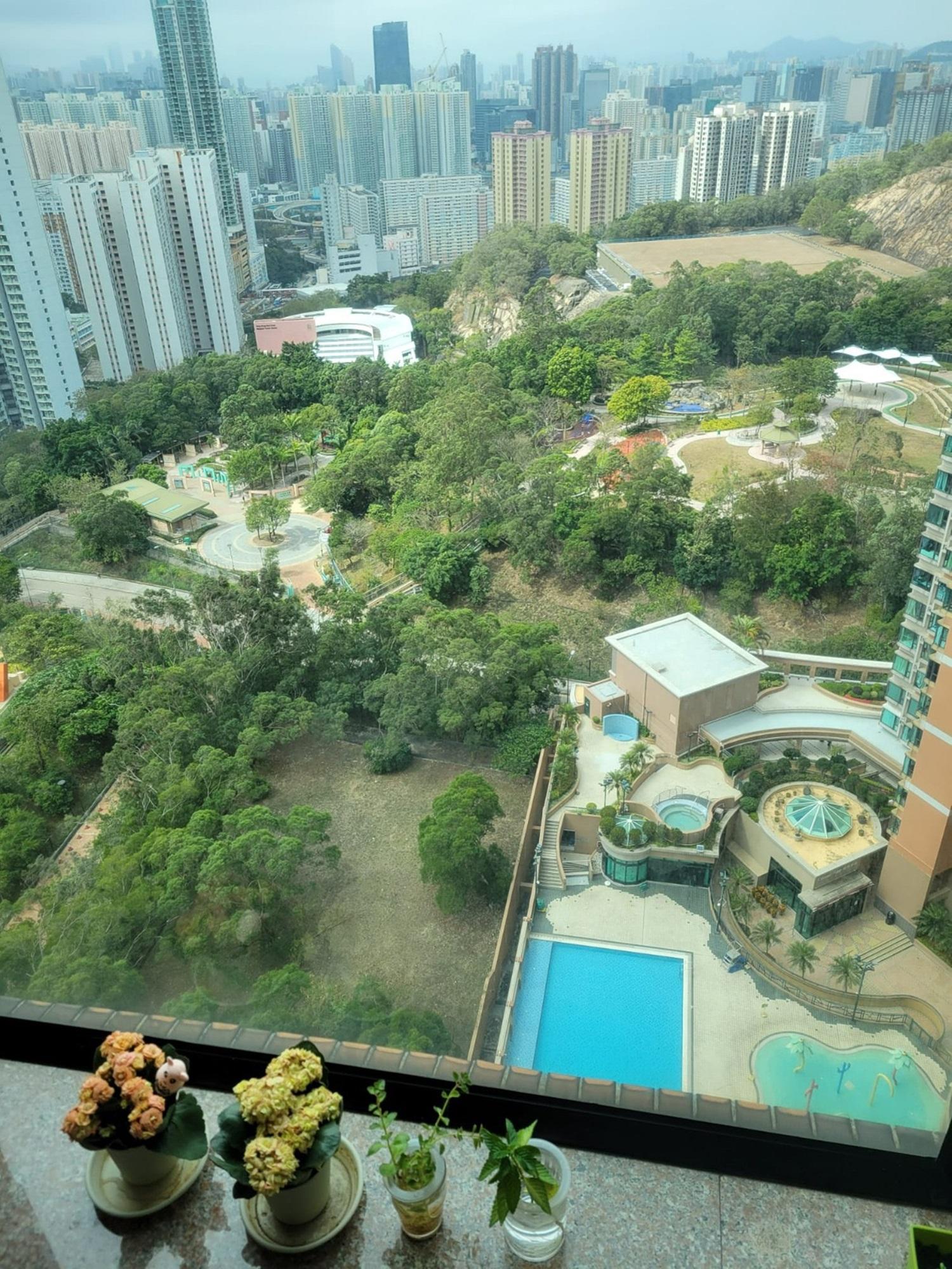 單位以山景和園景為主,並遠望彩虹一帶市景。