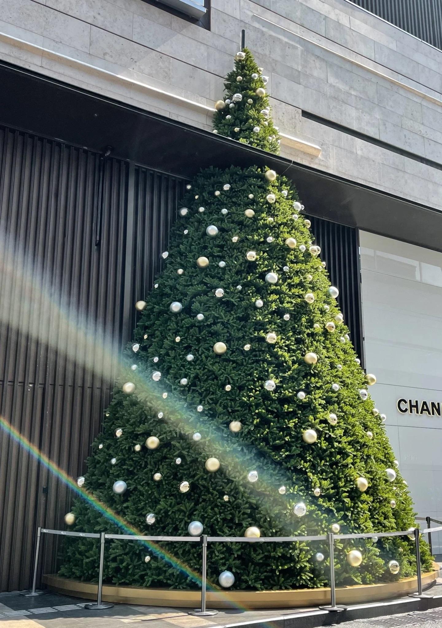 深圳灣萬象城商場聖誕樹