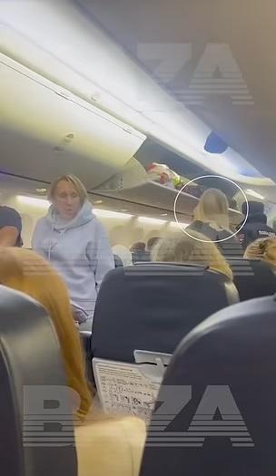 客機降落後,瓦萊里婭被警員押走。(互聯網)