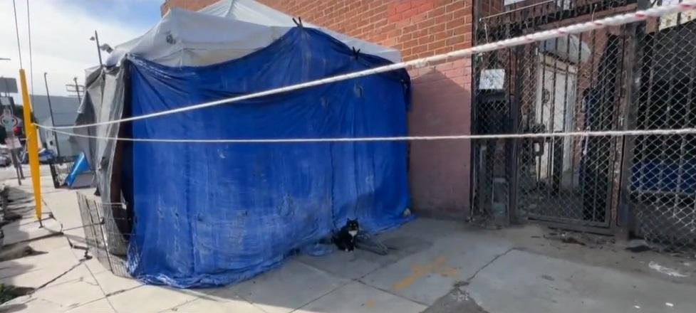 露宿者狗狗得到照顧。(互聯網)