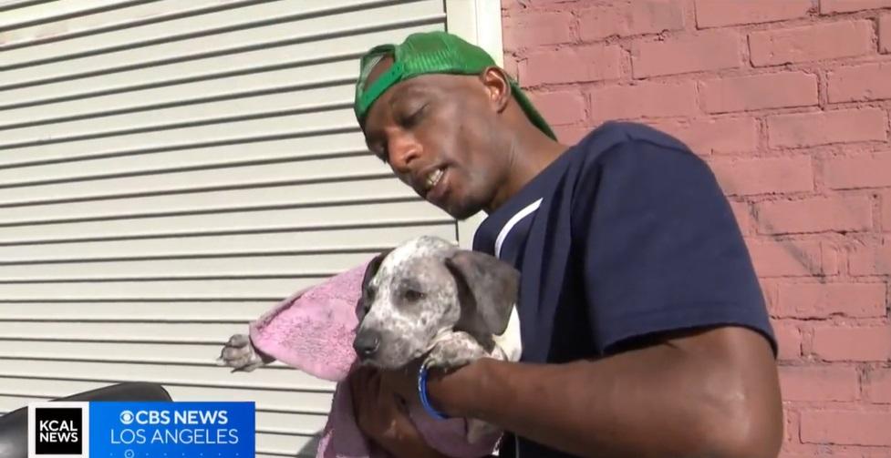 露宿者愛犬獲得義診。(互聯網)