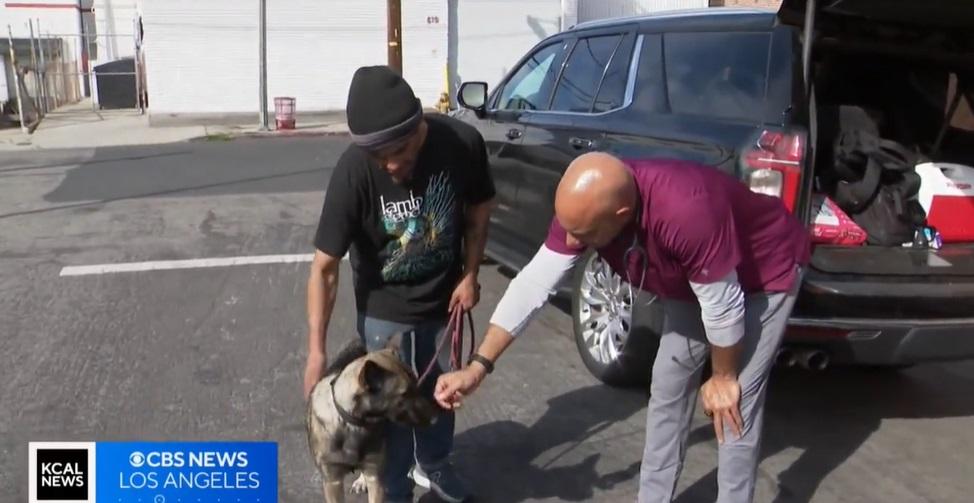 露宿者愛犬獲得斯圖爾特義診。(互聯網)