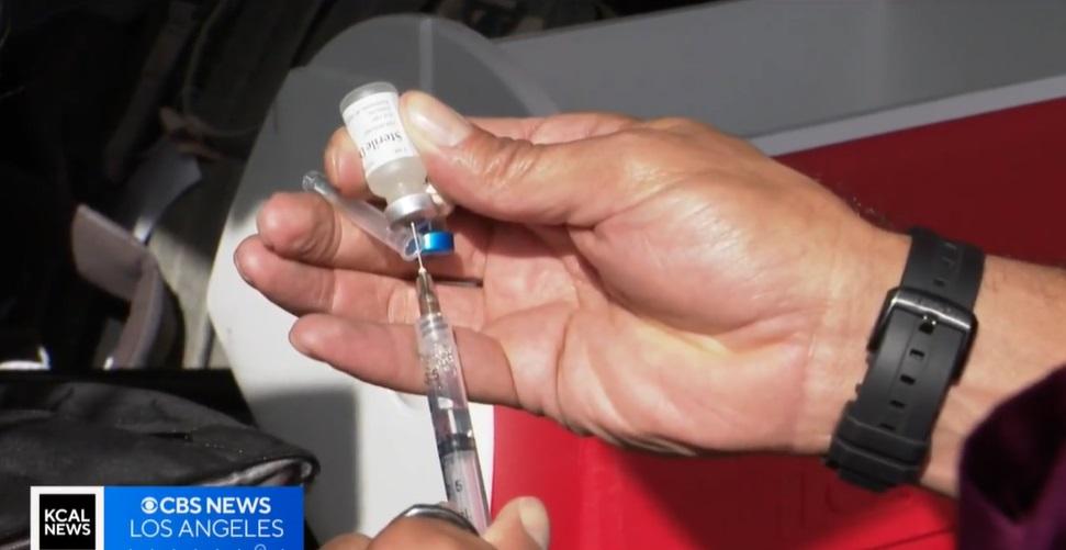 斯圖爾特為露宿者狗狗義診。(互聯網)