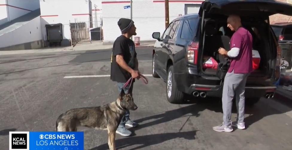 斯圖爾特為露宿者狗狗義診。(互聯網)