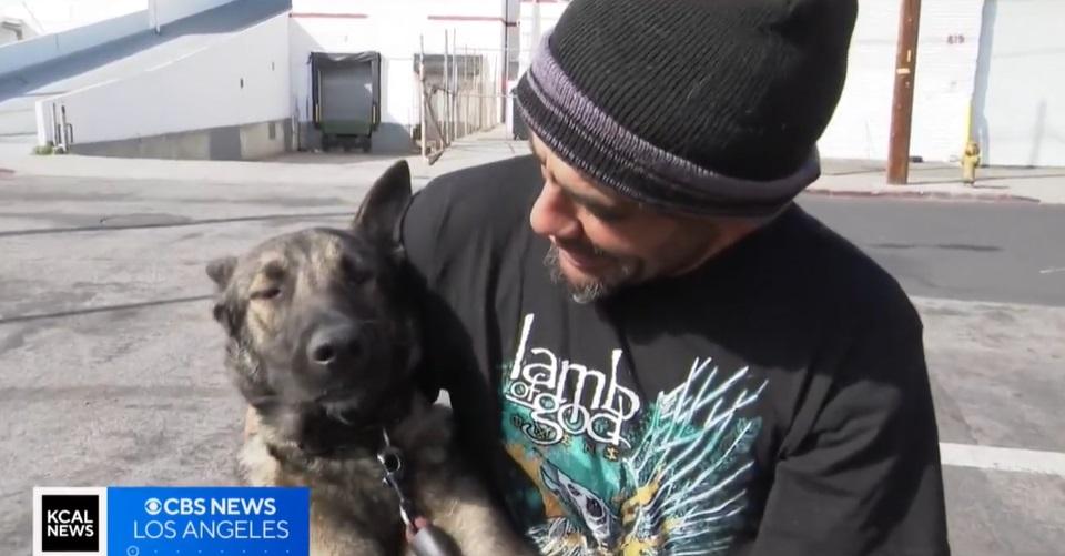 露宿者狗狗得到醫療照顧。(互聯網)