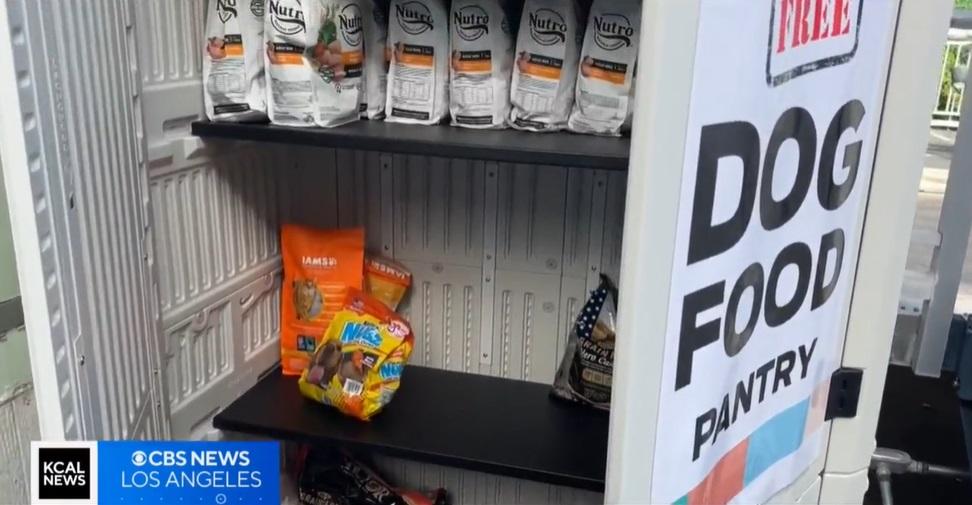 貓狗糧救濟站。(互聯網)