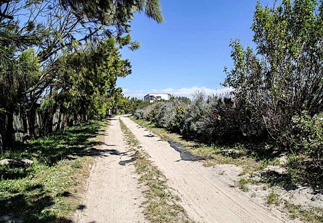 尼揚加有「謀殺之城」惡名。(互聯網)