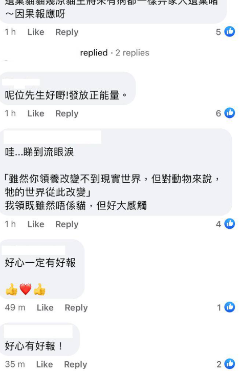 (圖片來源:Facebook@柴灣小西灣關注組2.0)