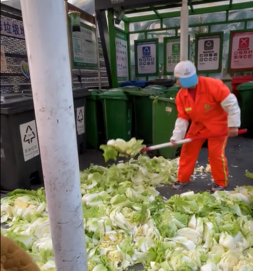 北京垃圾站「回收KPI」為達標 新鮮白菜搗碎當廚餘棄置