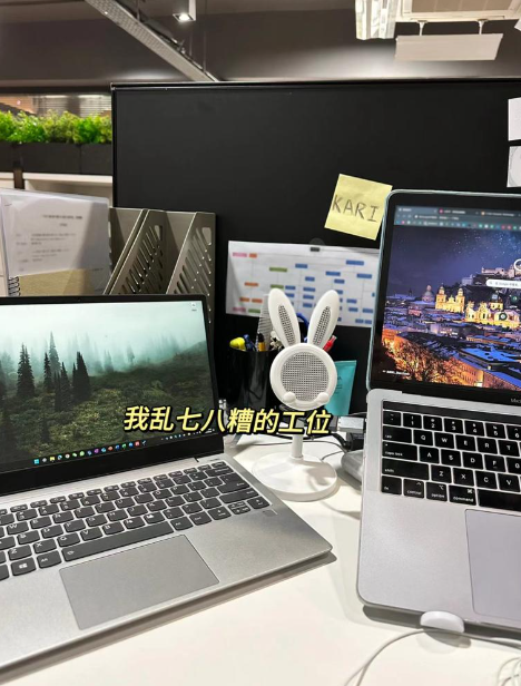 (圖片來源:小紅書)