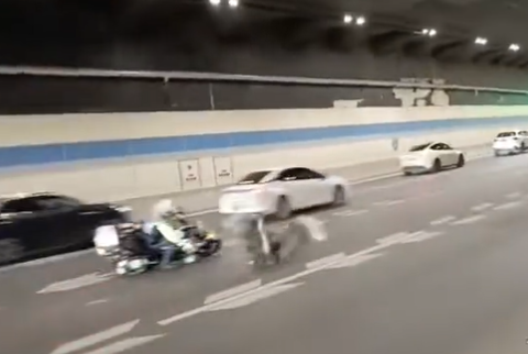 鄭州高速公路驚見「鴕鳥狂奔」,交通警於隧道與其輕微相撞。