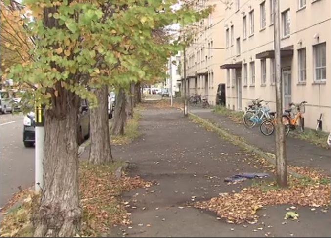 札幌市內,日前發現無頭貓屍。(新聞截圖)