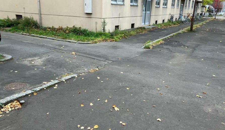 札幌市內,日前發現無頭貓屍。(新聞截圖)