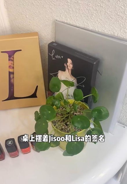 (圖片來源:小紅書)