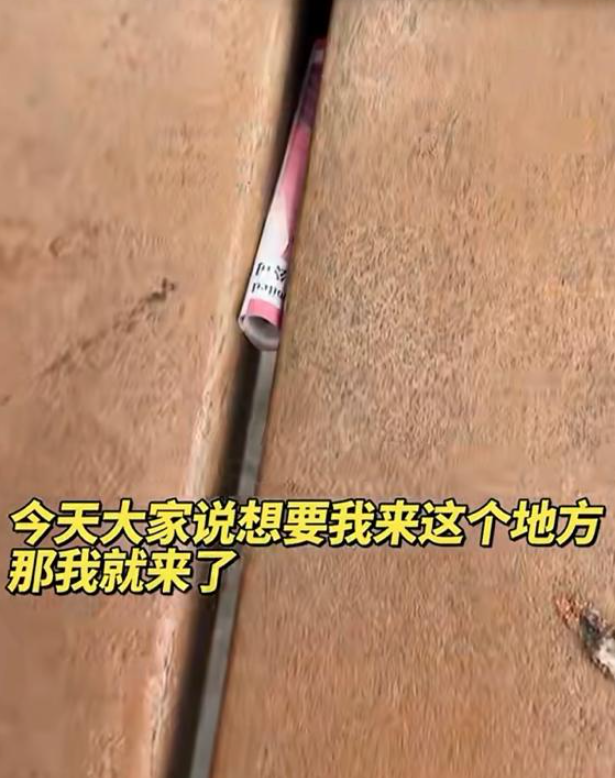 (圖片來源:小紅書)