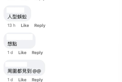 (圖片來源:Facebook@大埔TAI PO)