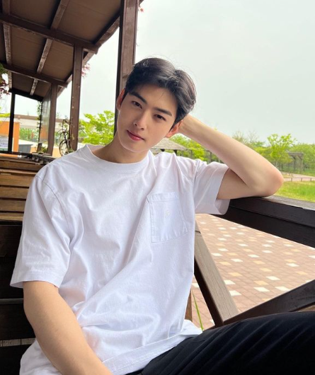 韓國男神車銀優(車銀優IG)