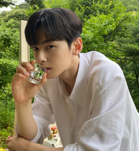 韓國男神車銀優(車銀優IG)