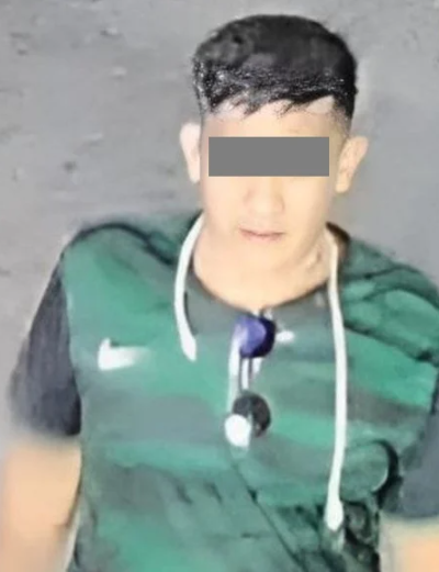 偷車綠衫男。(互聯網)