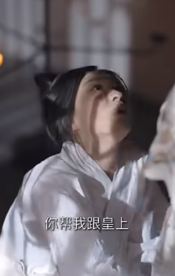 爆紅宮鬥戲《黑蓮花上位手冊》上線2天遭下架