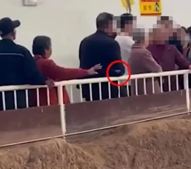 缺德大媽遊兵馬俑 旁若無人吐痰 扔煙頭入坑道