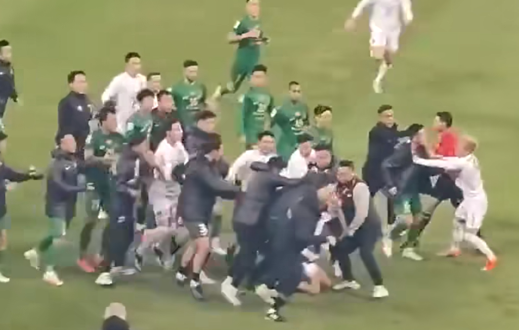 雙方職球員之後開始互雙動粗。(影片截圖)