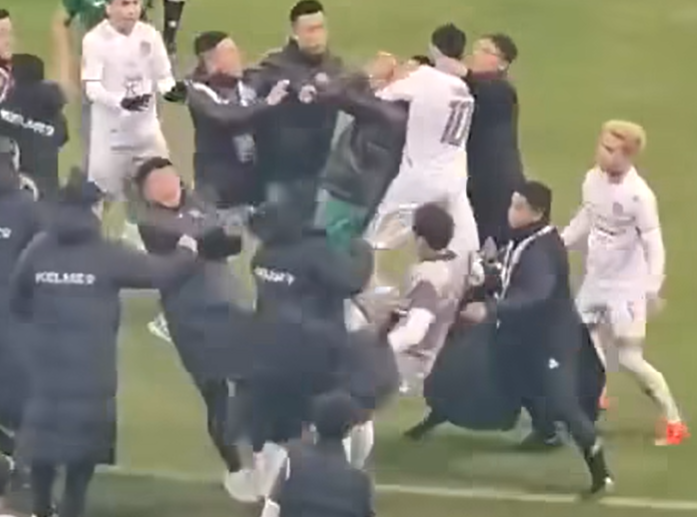 雙方職球員之後開始互雙動粗。(影片截圖)