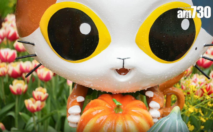 花展2023圖輯(資料圖片)