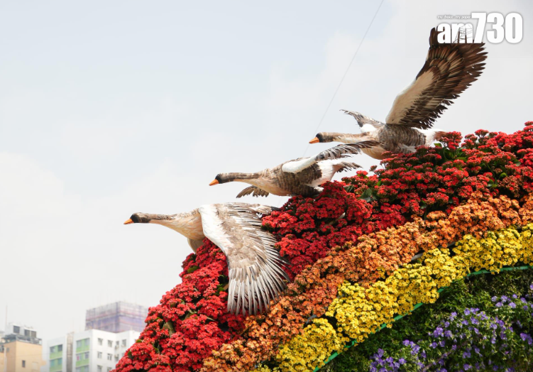 花展2023圖輯(資料圖片)