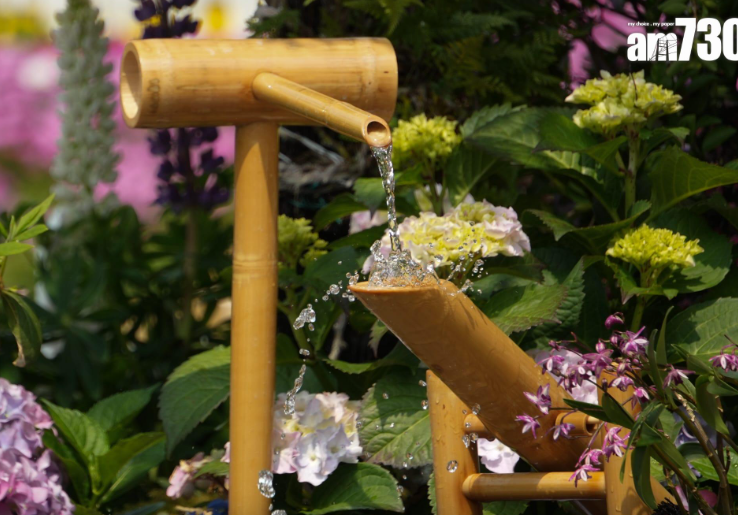 花展2023圖輯(資料圖片)