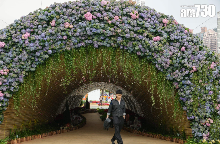 花展2023圖輯(資料圖片)