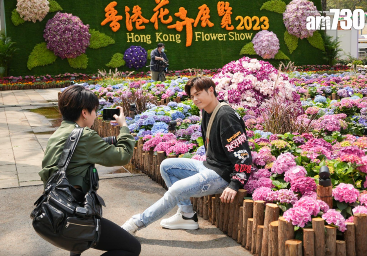花展2023圖輯(資料圖片)