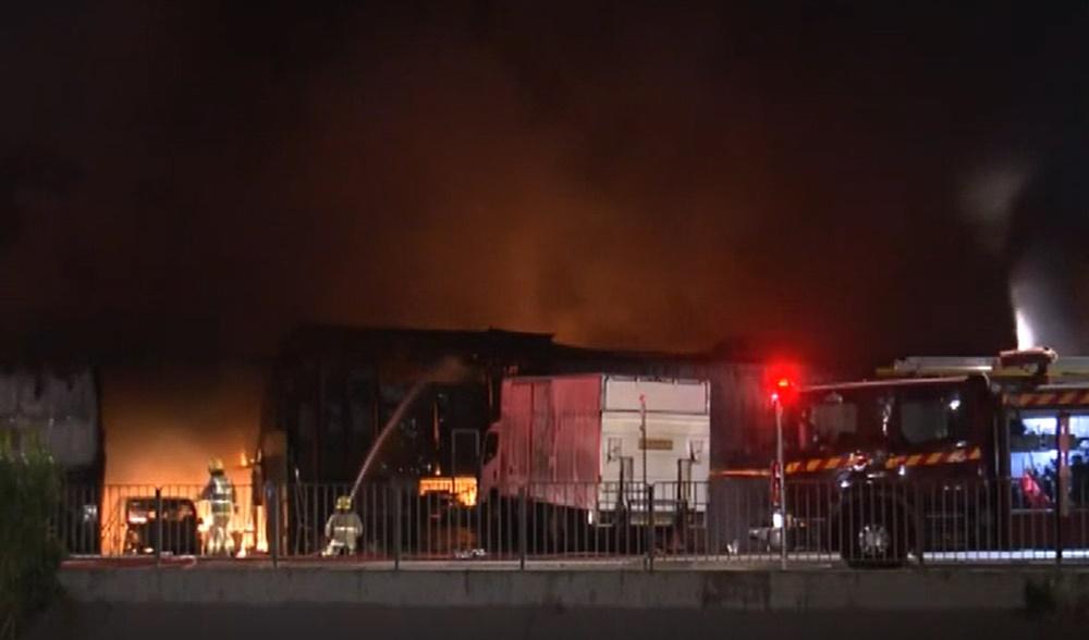 元朗白沙村三級火燒近4小時撲滅無人受傷,4狗獲救2狗失蹤。(電視截圖)