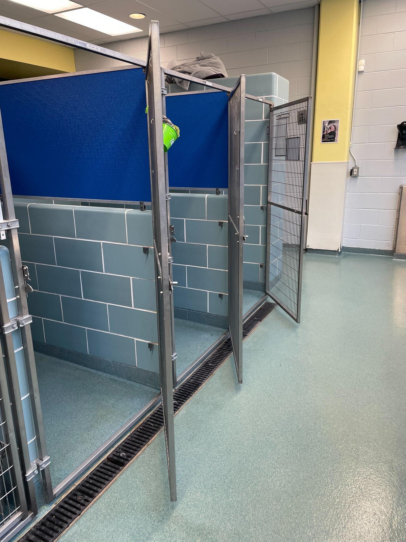 這次活動相當成功,在短短的幾小時內,竟然有61隻貓狗順利找到新家庭。(The Anti-Cruelty Society@FB)