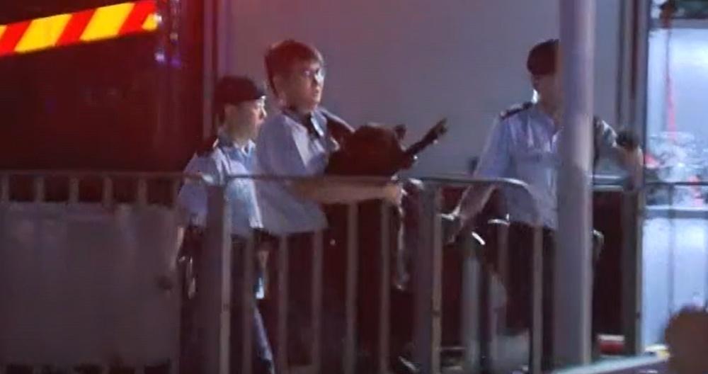 4隻狗獲救,2隻狗失蹤。(電視截圖)