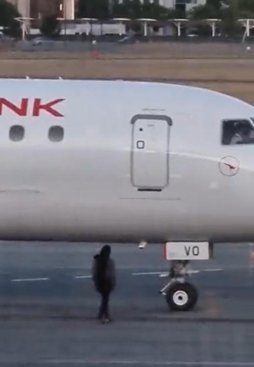 女子衝落停機坪走到飛機頭攔截,並向駕駛艙內的機師揮手,示意要求准許她登機。(X)