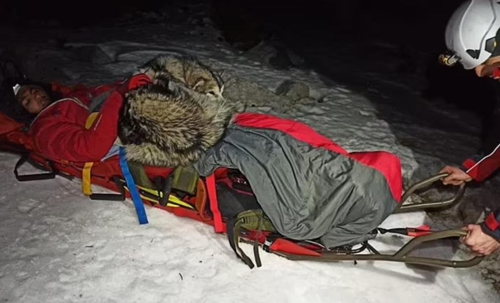 North爬到主人身上蜷縮成一團,充當了一個小暖包幫他保暖。(X)