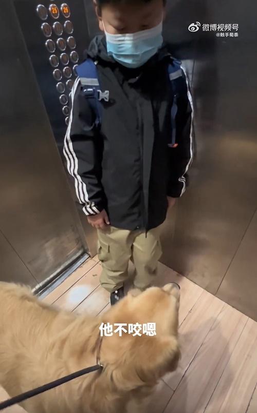 與狗狗搭𨋢超緊張,飼主叫「坐下」男童秒蹲下笑爆網民。(微博)